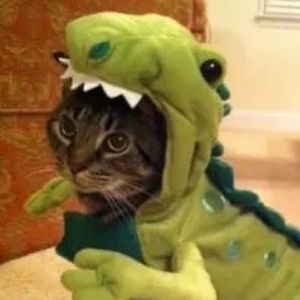 Meet your Posher, Jules